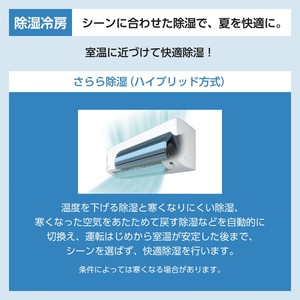 DAIKIN S224ATMS-W MXシリーズ うるさらmini [エアコン (主に6畳用