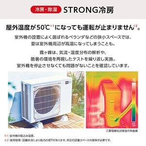 4-4902901988127M.jpg