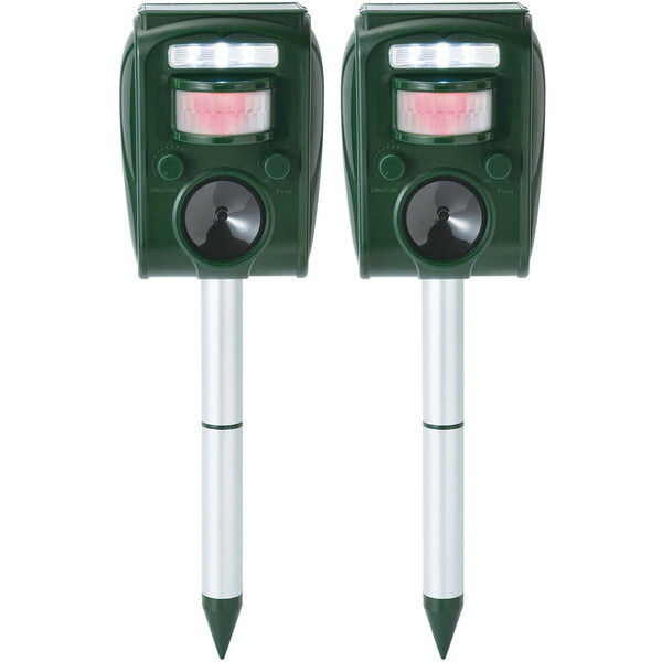 t@~[ECt \[[[dQb쏜@ 2g(0448910) O[