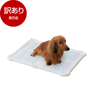 犬用トイレ用品