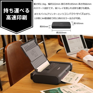 Canon モバイルプリンター TR153 総枚数491枚 Canon（キヤノン