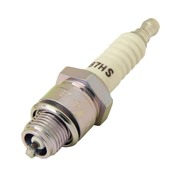 SK11 Xp[NvO No.8 B7HS