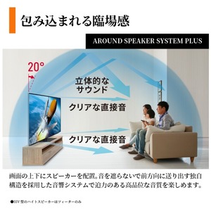 SHARP 4T-C65HP1 AQUOS XLED [65V型 地上・BS・110度CSデジタル 4K