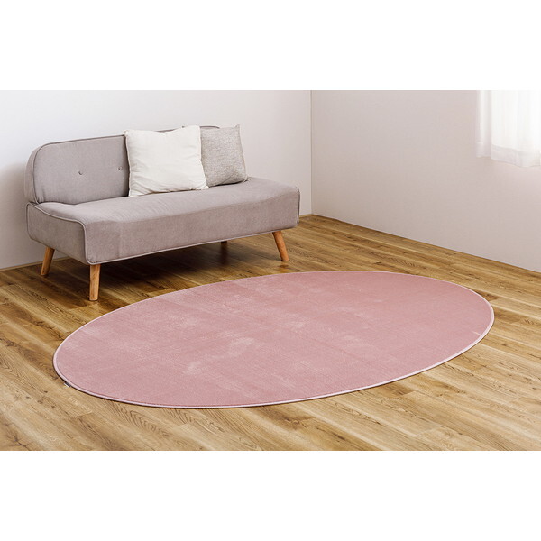  240620531 Q^b`̐􂦂RpNgO ȉ~` 160×220 sN