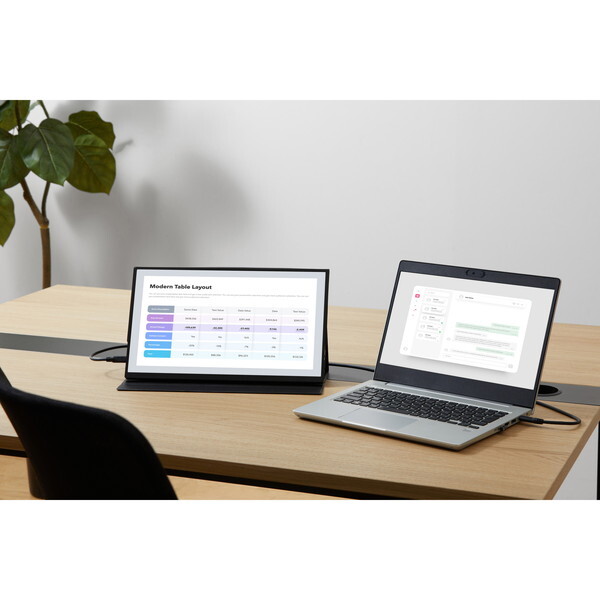 アイリスオーヤマ DP-EF164S-B ブラック [15.6型 ポータブル液晶