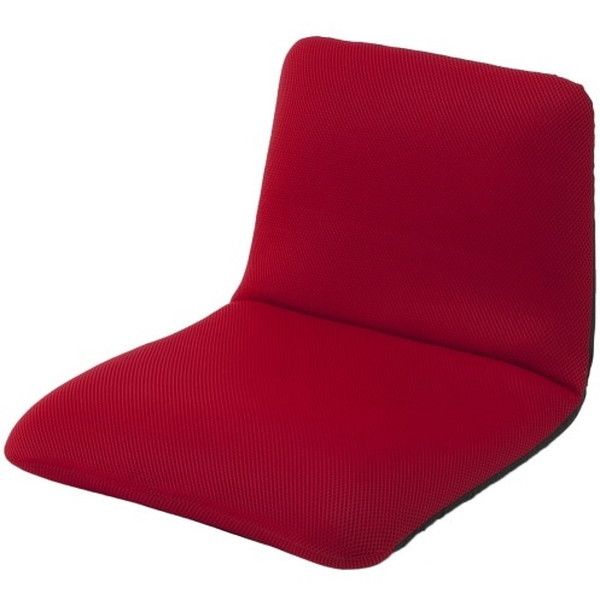 CELLUTANE ֎q [`FAS _ubZbh NCjO ܂ RpNg e[N { A455a-504RE