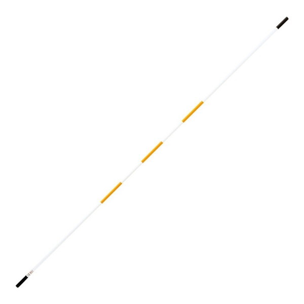 g[GCCg wZ̈ nCubhOXo[4  G1440