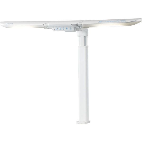 RCY~ LED[hRg[cCCg zCg ECL-546 WH