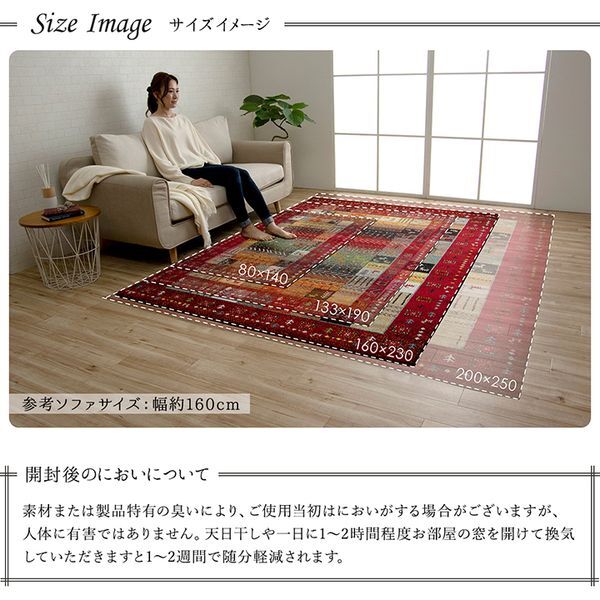 イケヒコ・コーポレーション 1320370240401 イビサ カーペット 絨毯 