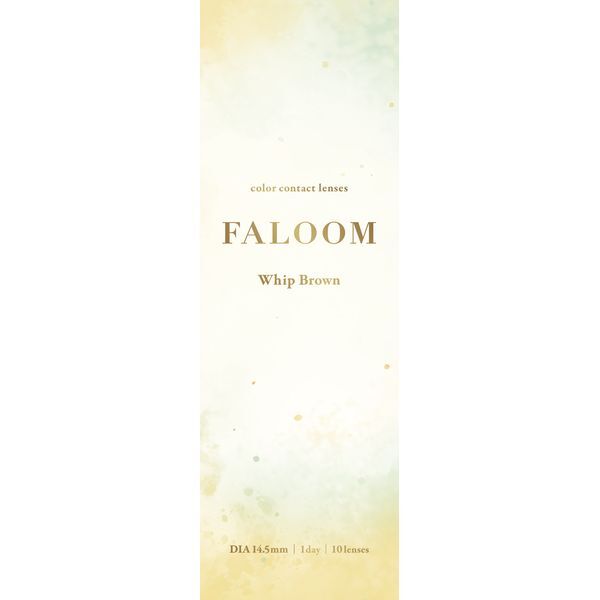 PIA FALOOM 1DAY 10 zCbvuE (x) -8.00 J[R^NgY