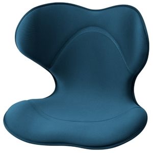 姿勢・骨盤矯正製品