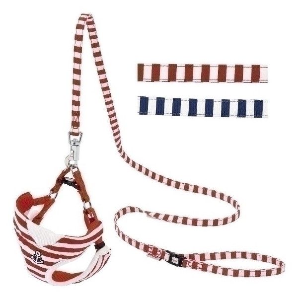 yeBI WanWan Casual }xXgn[lX[h XS bh