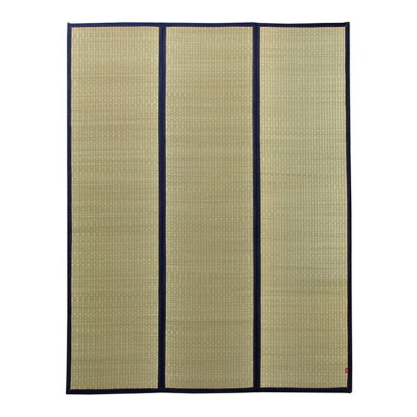 CPqRER[|[V 1050681193904 O }bg `  ėp r[O lCr[ 191×250cm