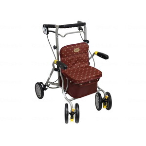 歩行車（屋外）