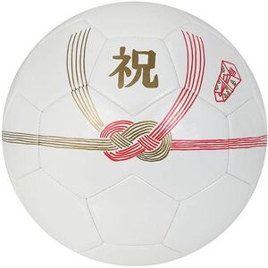 MIKASA FS6253Y-MU-ZE MULGA×MIKASA コラボデザイン [フットサル
