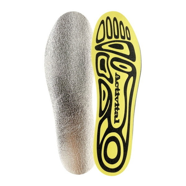 Activital �A�N�e�B�o�C�^�� �f�M�C���\�[�� �A���~�v���X L GZ-GRA1004