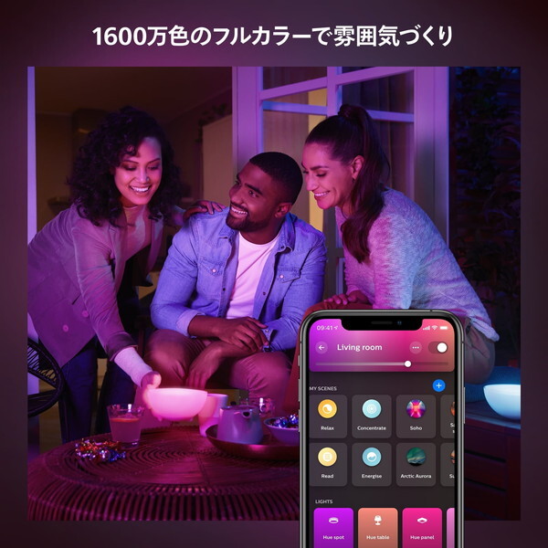 PHILIPS PHGOAC Hue Go [テーブルランプ (ポータブル アクセント