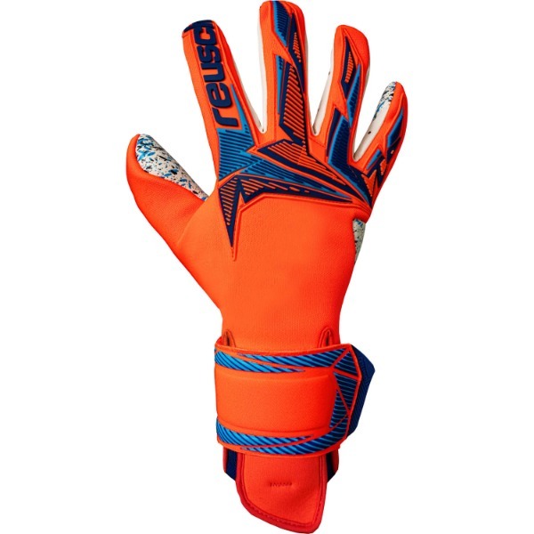 ロイシュ REUSCH」の人気商品一覧 | 安い商品を通販サイトから探す