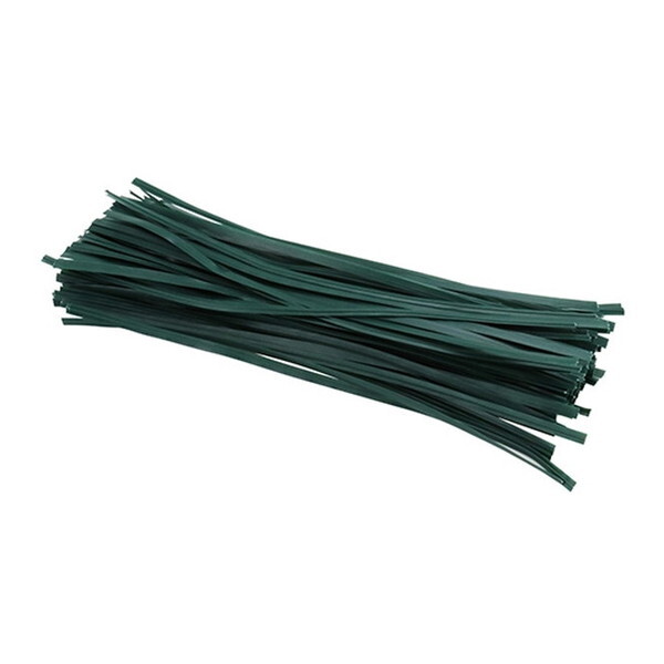 ZteB[3 t[C[100{ 20cm O[