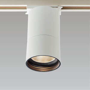 ライティングレール照明