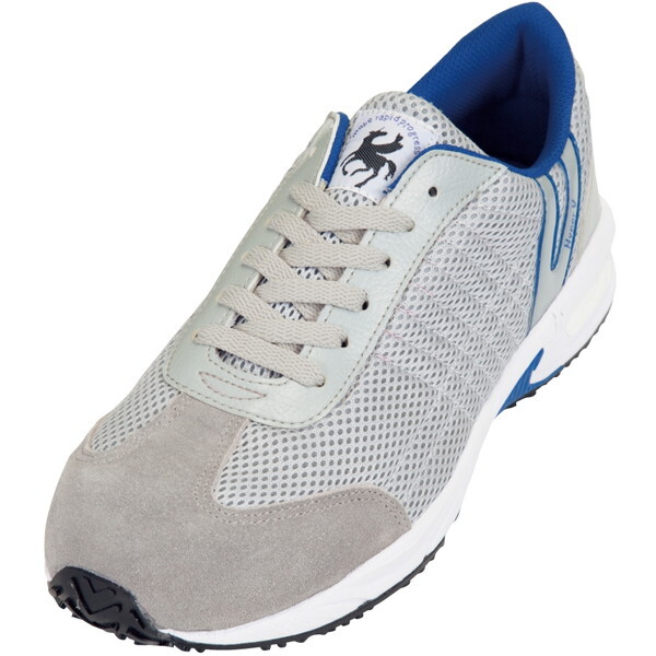 iS #2000 O[ 24.5 [nCp[VveNeBuXj[J[]