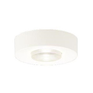 シーリングライト