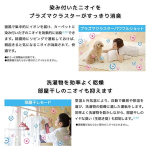 SHARP AY-S80X2-W ホワイト系 Xシリーズ [エアコン (主に26畳用・単相 