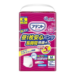 失禁パンツ（福祉介護）