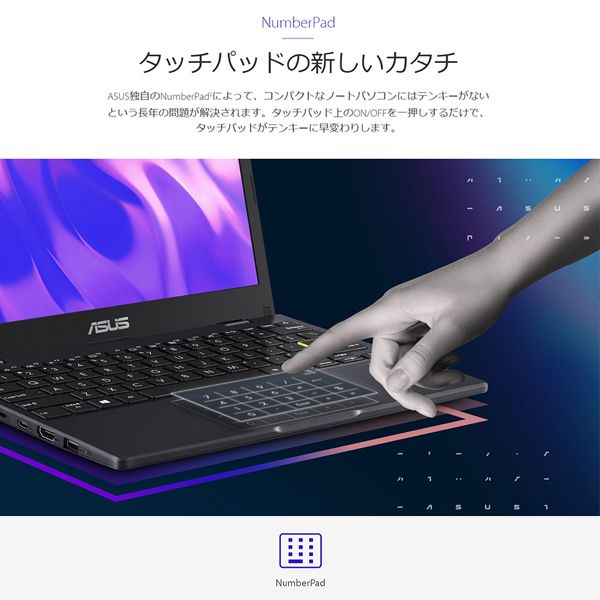 ASUS E210MA-GJ002P ローズゴールド [ノートパソコン 11.6型 / Win10