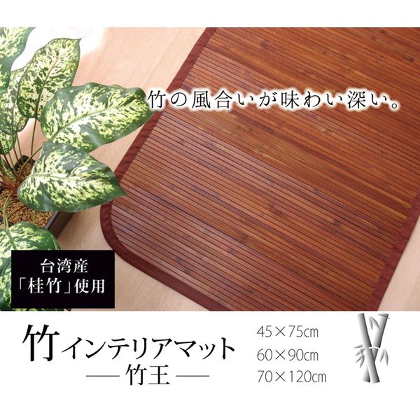 �C�P�q�R�E�R�[�|���[�V���� 1100080013201 ���n �ׂЂ��g�p �|�}�b�g �|�� ��70×120cm