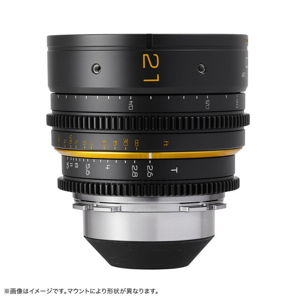 �ŋ� DL-MP21-EF-B �u���b�N [�P�œ_�����Y (�L���m��EF�E���g)]
