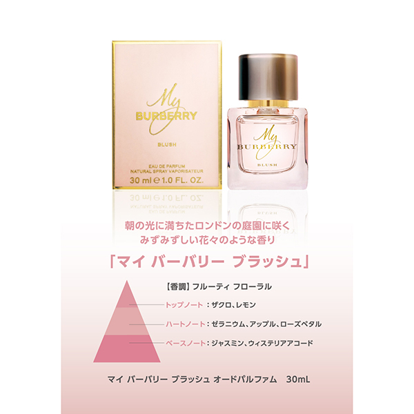 BURBERRY バーバリー マイバーバリー ブラッシュ