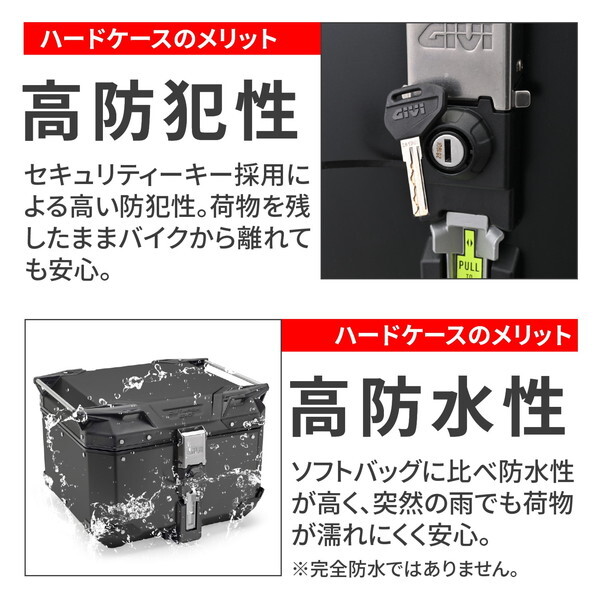 6-4909449639054L.jpg