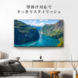 全国送料込❣️マクスゼン65型液4K地デジBSCSテレビWチューナー外付HDD