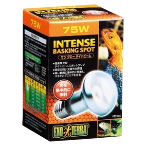 その他爬虫類・両生類用品