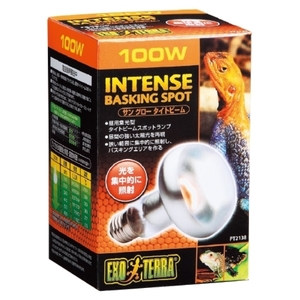 その他爬虫類・両生類用品