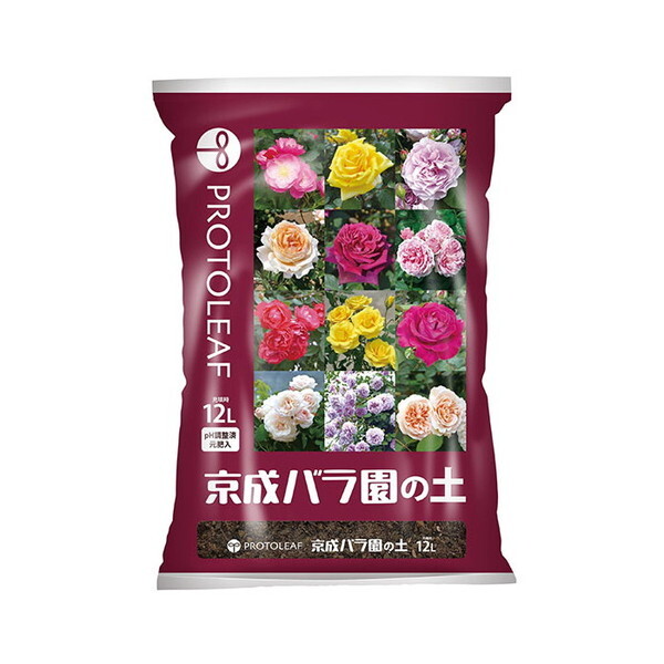 �v���g���[�t �����o�����̓y 12L