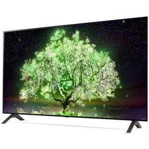 LGエレクトロニクス OLED48A1PJA [48V型 地上・BS・110度CSデジタル 4K
