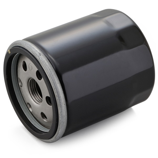 �f�C�g�i D21045 ���v���C�X�I�C���t�B���^�[ XL1200