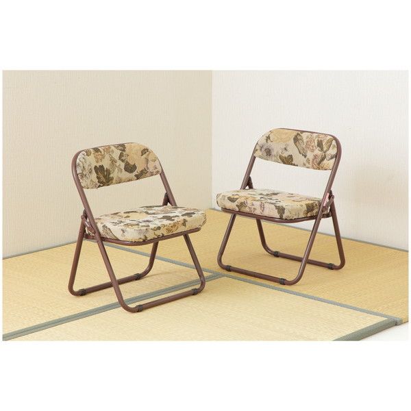 tN_Ntg CF-4254 2P [yĐ܂肽߂鍂֎q]