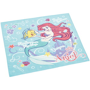 その他お弁当用品