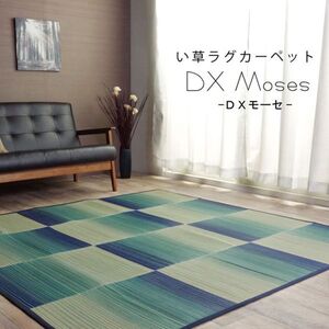 カーペット・ラグ