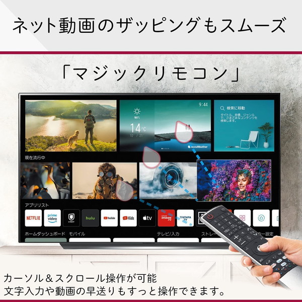 LGエレクトロニクス 55NANO96JPA [55V型 地上・BS・CSデジタル 8Kチューナー内蔵 液晶テレビ] | 激安の新品・型落ち・アウトレット  家電 通販 XPRICE - エクスプライス (旧 PREMOA - プレモア)