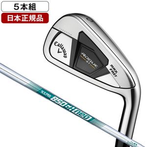 日本正規品】 ホンマ ツアーワールド TR21X アイアンセット 5本組 (#6