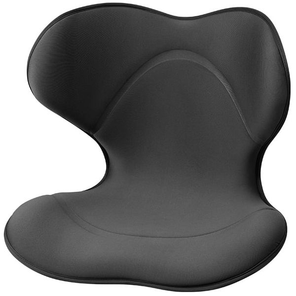 Style SMART スタイルスマート MTG - 座椅子