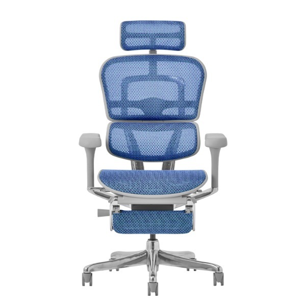 �։Ƌ� 507921 EHP2-LPL-5D-DR-GF-BL �O���[�t���[��/�u���[���b�V�� Pro2 Ottoman [�I�t�B�X�`�F�A]