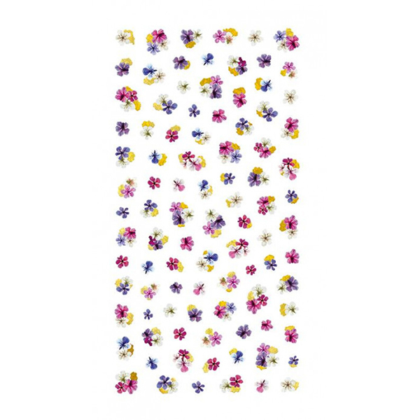 COJg cL lCV[ noble hCt[Ƌ1 NO-DFG-101(WFp)