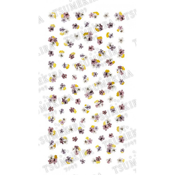 COJg cL lCV[ noble hCt[Ƌ2 NO-DFG-102(WFp)