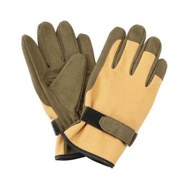 Y ZteB-3 gQhɂ STS-M