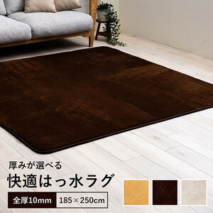 カーペット・ラグ